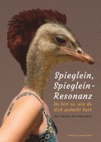 bokomslag Spieglein, Spieglein - Resonanz