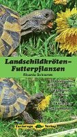 Landschildkröten-Futterpflanzen 1