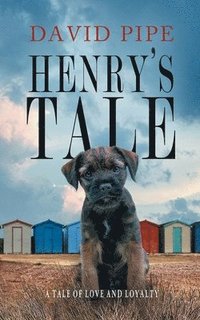 bokomslag Henry's Tale