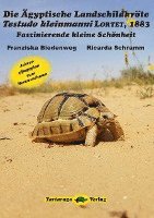 Die Ägyptische Landschildkröte Testudo kleinmanni LORTET, 1883 1