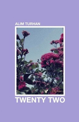 bokomslag Twenty Two