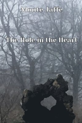 The Hole in the Heart 1