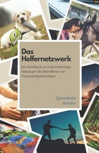 bokomslag Das Helfernetzwerk: Ein Handbuch zu Unterstützungsleistungen für Betroffene von Traumafolgestörungen