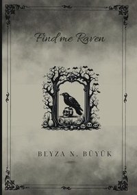 bokomslag Find Me Raven
