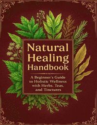 bokomslag Natural Healing Handbook