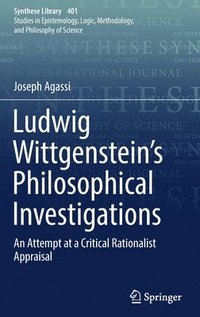 bokomslag Ludwig Wittgensteins Philosophical Investigations