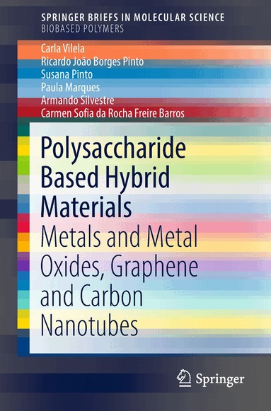 Carla Vilela, Ricardo João Borges Pinto, Susana Pinto, Paula Marques, Armando Silvestre, Carmen Sofia da Rocha Freire Barros - Polysaccharide Based Hybrid Materials, Häftad