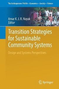 bokomslag Transition Strategies for Sustainable Community Systems