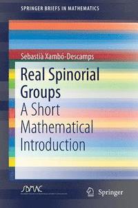 bokomslag Real Spinorial Groups