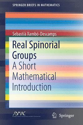 Real Spinorial Groups 1