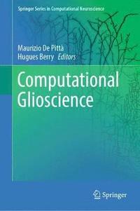 bokomslag Computational Glioscience