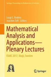 bokomslag Mathematical Analysis and ApplicationsPlenary Lectures