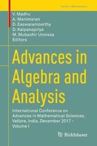 bokomslag Advances in Algebra and Analysis