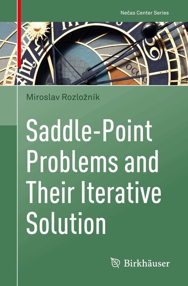 Miroslav Rozložník - Saddle-Point Problems and Their Iterative Solution, Häftad