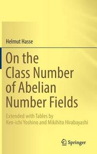 bokomslag On the Class Number of Abelian Number Fields
