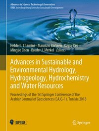 bokomslag Advances in Sustainable and Environmental Hydrology, Hydrogeology, Hydrochemistry and Water Resources