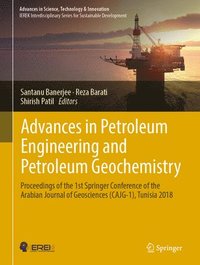 bokomslag Advances in Petroleum Engineering and Petroleum Geochemistry