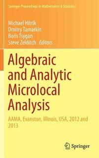 bokomslag Algebraic and Analytic Microlocal Analysis