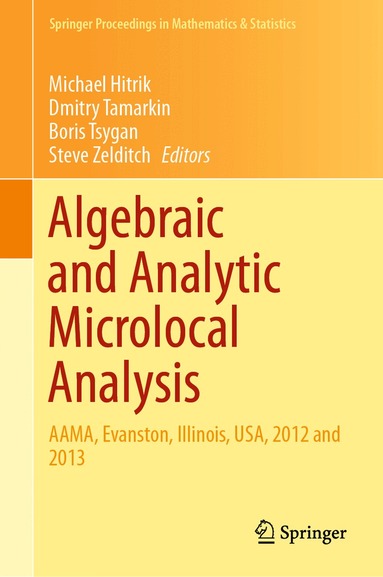 Michael Hitrik, Dmitry Tamarkin, Boris Tsygan, Steve Zelditch - Algebraic and Analytic Microlocal Analysis, Inbunden