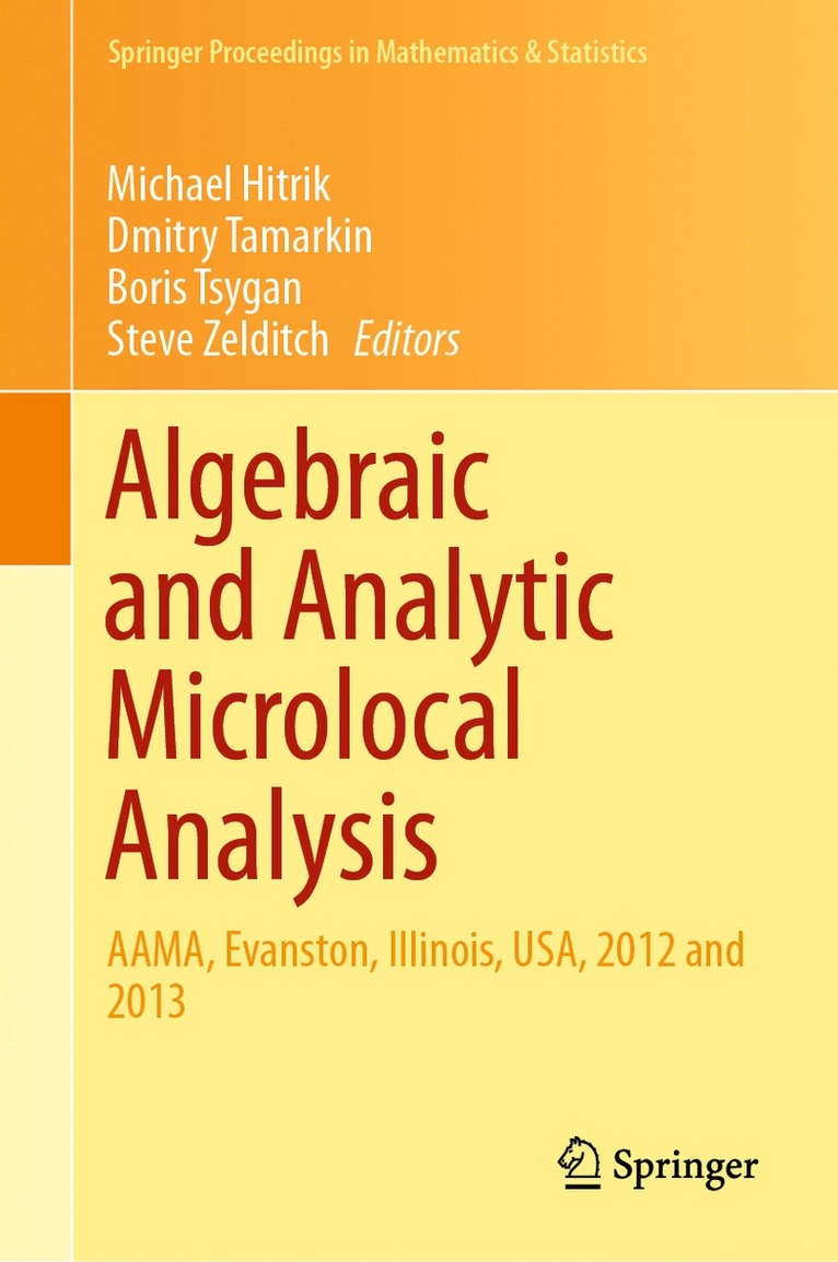 Michael Hitrik, Dmitry Tamarkin, Boris Tsygan, Steve Zelditch - Algebraic and Analytic Microlocal Analysis, Inbunden