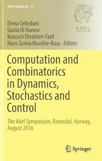 bokomslag Computation and Combinatorics in Dynamics, Stochastics and Control
