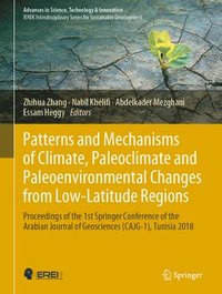 bokomslag Patterns and Mechanisms of Climate, Paleoclimate and Paleoenvironmental Changes from Low-Latitude Regions