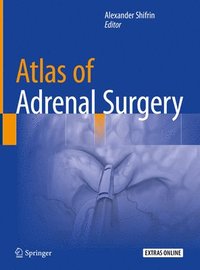 bokomslag Atlas of Adrenal Surgery