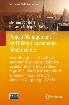 bokomslag Project Management and BIM for Sustainable Modern Cities