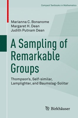 A Sampling of Remarkable Groups 1