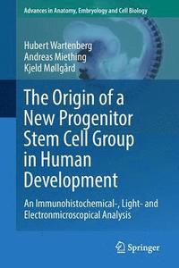 bokomslag The Origin of a New Progenitor Stem Cell Group in Human Development