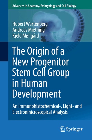 Hubert Wartenberg, Andreas Miething, Kjeld Møllgård - Origin of a New Progenitor Stem Cell Group in Human Development, Häftad