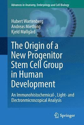 bokomslag The Origin of a New Progenitor Stem Cell Group in Human Development
