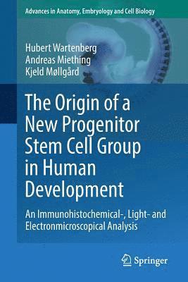 Hubert Wartenberg, Andreas Miething, Kjeld Møllgård, Kjeld Møllgard - Origin of a New Progenitor Stem Cell Group in Human Development, Häftad