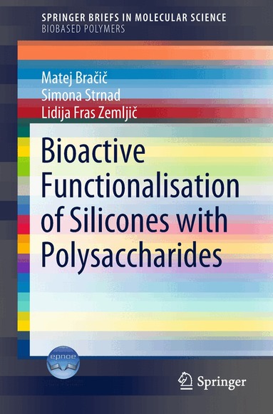 Matej Bračič, Simona Strnad, Lidija Fras Zemljič - Bioactive Functionalisation of Silicones with Polysaccharides, Häftad