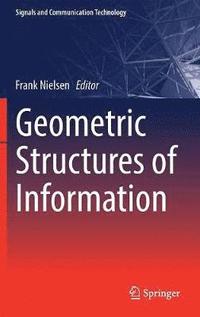 bokomslag Geometric Structures of Information