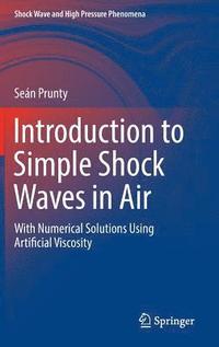 bokomslag Introduction to Simple Shock Waves in Air