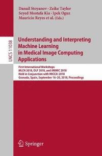 bokomslag Understanding and Interpreting Machine Learning in Medical Image Computing Applications