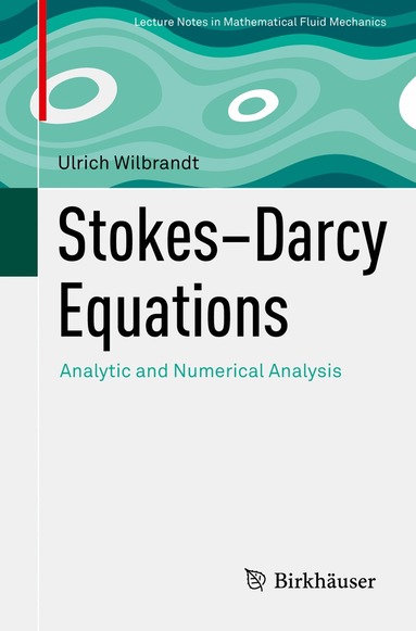 Ulrich Wilbrandt - Stokes–Darcy Equations, Häftad