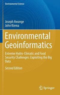 bokomslag Environmental Geoinformatics