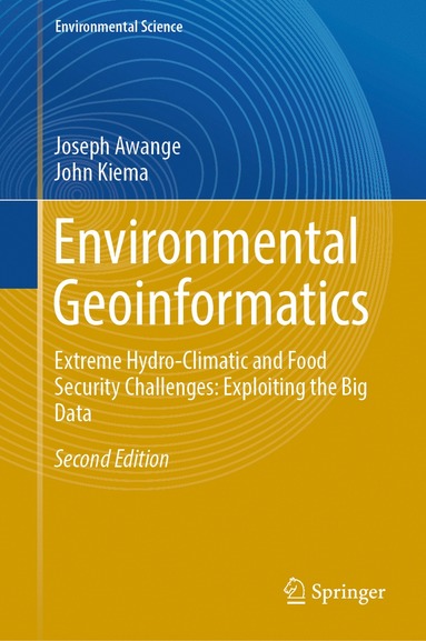 bokomslag Environmental Geoinformatics