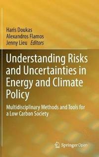 bokomslag Understanding Risks and Uncertainties in Energy and Climate Policy