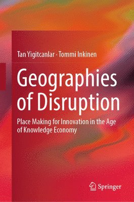 bokomslag Geographies of Disruption