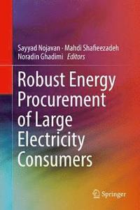 bokomslag Robust Energy Procurement of Large Electricity Consumers