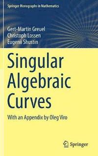 bokomslag Singular Algebraic Curves