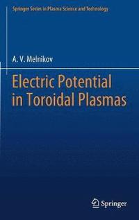 bokomslag Electric Potential in Toroidal Plasmas