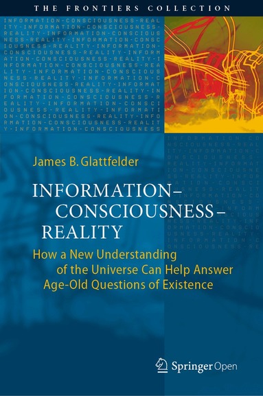 James B. Glattfelder - Information—Consciousness—Reality, Inbunden