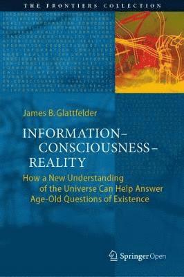 James B. Glattfelder - Information—Consciousness—Reality, Inbunden