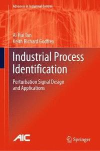 bokomslag Industrial Process Identification