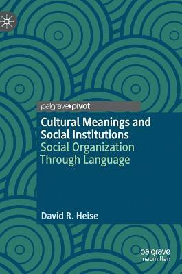 bokomslag Cultural Meanings and Social Institutions