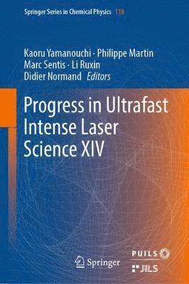 bokomslag Progress in Ultrafast Intense Laser Science XIV
